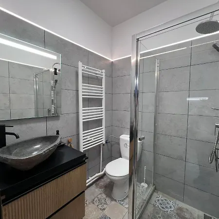 Casa Basarab Otel *