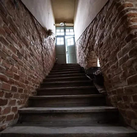 Hotel Casa Basarab *