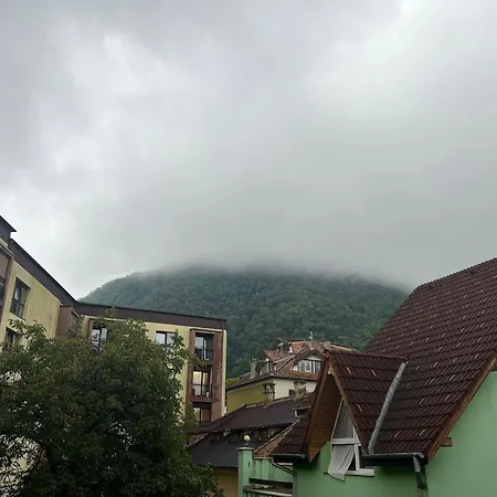 Hotel Casa Basarab *