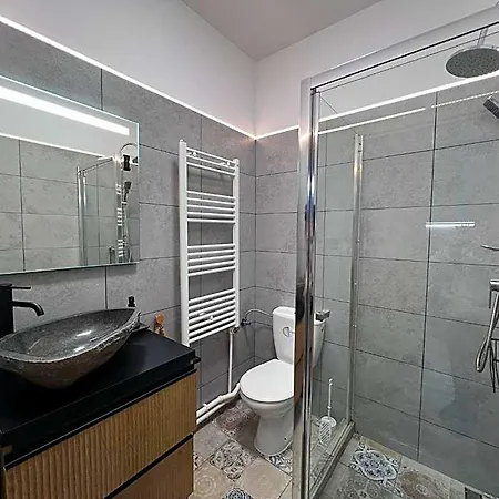 Casa Basarab Otel *