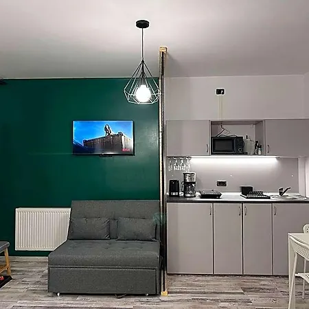Casa Basarab *