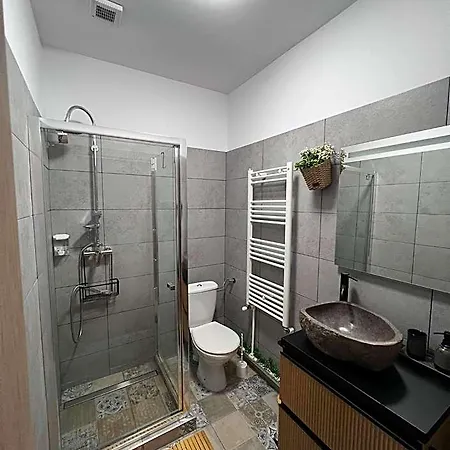 Otel Casa Basarab *