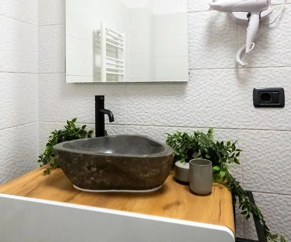 Hotel Casa Basarab *